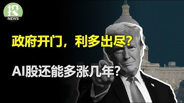 政府开门 利多出尽？ AI泡沫恰恰相反！闪迪成为妖股的秘密？美股以外最好的机会？