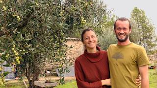 Slow Living in a 1.5 Acre Olive Grove