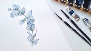 How to paint transparent eucalyptus branch with watercolor