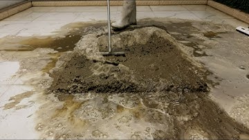 Extremely Satisfying Carpet Clean! Watch YEARS of Filth Melt Away 🤯 ASMR