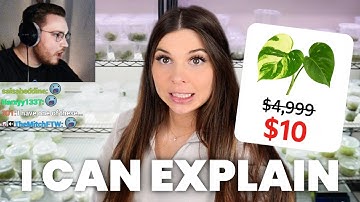 CS2 Economist Shocked by the Girl That Ruined the Plant Market