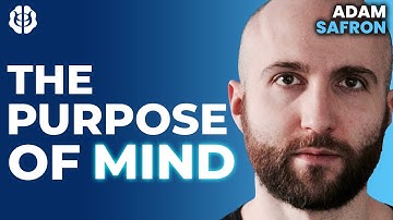 Why Does Consciousness Exist? Integrated World Modeling Theory & the Cybernetic Mind | Adam Safron