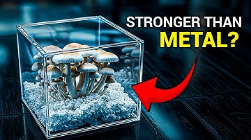 Can These BREAKTHROUGH Mushrooms Save Our Planet?