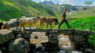 'Didingola' - The Timeless Highland, The Local Laz People's Summit | Documentary Film