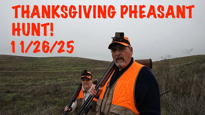 HUNTING PHEASANTS AT QUAIL POINT HUNT CLUB 11/26/25