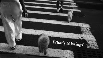 Why Most Photos Feel Empty