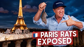 Hunting Giant Rats Under the Eiffel Tower | Paris’ Hidden Rat Problem Exposed