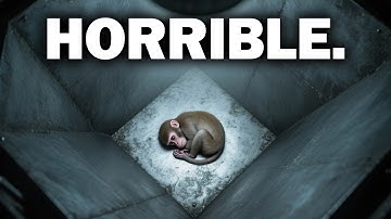 Top 10 Most Disturbing Psychological Experiments