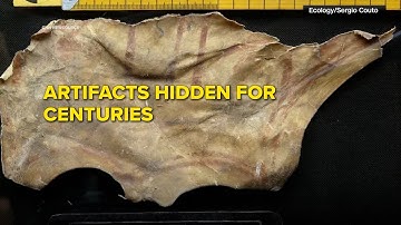 Medieval sandal found in vulture nest in Spain | Ancient discovery