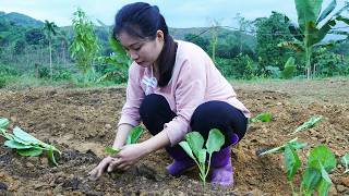 90 Days: Life of a 18 Year Old Single Mother - Build Bamboo House & Find a Peaceful Life with Child