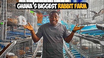 Inside One of the Biggest Rabbit Farms in Ghana 🇬🇭 | 400 Capacity with Exotic Breeds
