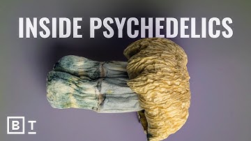 Psychedelics: History, safety, and DMT elves | Matthew Johnson: Full Interview