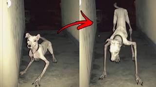 TERRIFYING DOORBELL CAUGHT ON CAMERA SCARY VIDEOS