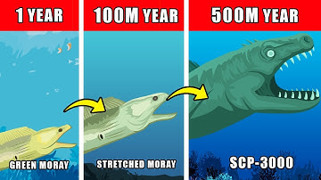 SCP-3000 (Anantashesha) Origin Evolution: How SCP-3000 (Anantashesha) Could Have Evolved