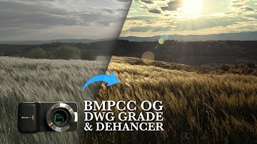 BMPCC OG Color Magic: DWG Pipeline + Dehancer Film Look