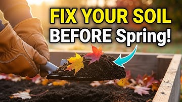 Fertilizer Companies HATE This Fall Soil Trick (Saves You $200/Year)