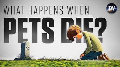 The ONE Verse that Shows What Happens to Our Pets After Death