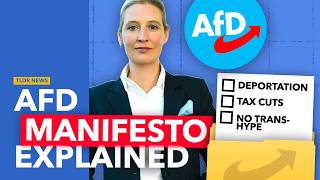 Germany's AfD Manifesto Explained