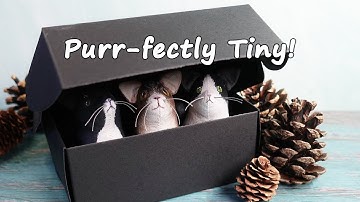 Van stofresten kleine volkskunstkatten maken