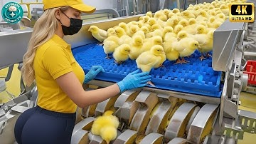 Amazing Machines and Tools Operating At An INSANE LEVEL ▶ 01