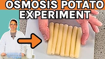 A-level Biology Required Practical 3 |Osmosis potato & serial dilution(creating a calibration curve)
