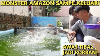 BACK FIERCE & BRUT4L! FEED MONSTER FISH WITH WHOLE CATFISH