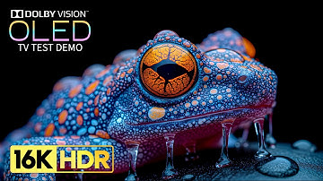 INSANE 16K Video | Dolby Vision 16K HDR ULTRA HD 120 fps (8K/4K TV)