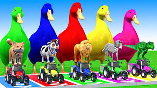 5 Giant Duck Cartoon, Cow, Elephant, Tiger, Dinosaur, Paint Wild Animals Crossing Fountain Animation