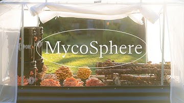The MycoSphere | North Spore