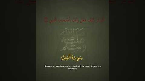 سورة الفيل بصوت خاشع يهزّ القلوب… ألم تر كيف فعل ربك؟"😥❤️‍🩹