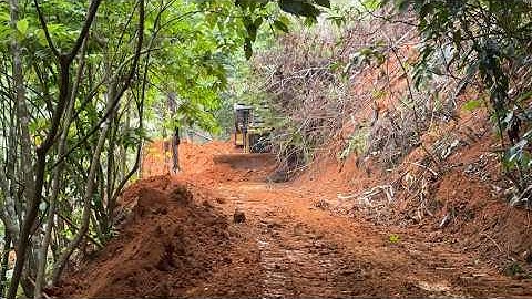 Massive Machine in Action – CAT D6R XL Bulldozer Widening Forest Roads