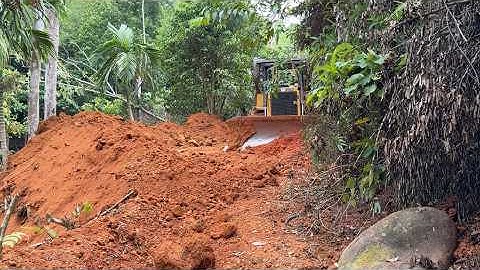 Massive Machine in Action – CAT D6R XL Bulldozer Widening Forest Roads