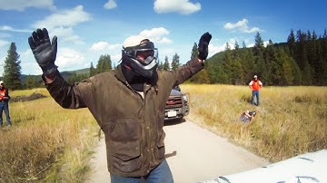 A Grizzly Bear on the Loose! Wardens in Action