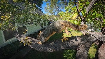 Insta360 X5-test - Bewerkt in Insta360 Studio (Desktop).