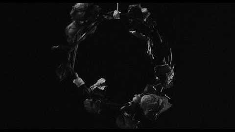 Locusts and Honey - Shadow of My End (full video, 2025) [blackened doom drone]