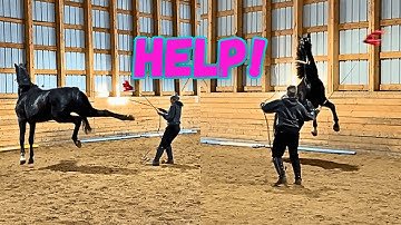 Is He To Much Horse For Me? (He Tries to Hurt Me!)