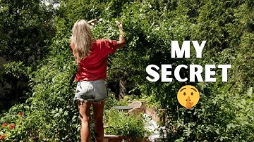 3 Steps to Make Gardening Easy