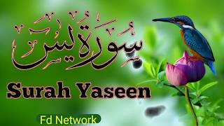 Surah Yasin (Yaseen) Full with arabic text | Yaseen sharif |سورہ یس 36 | Surah Yaseen Recitation |