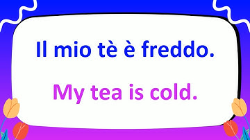 Learn 300+ Most Critical Italian Phrases to Master Possessive Adjectives!