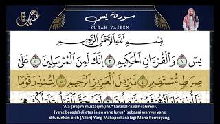 Surah Yasin ( Full ) by Alaa Aql With Mushaf Almadinah Text ( Bahasa Penerjemah )