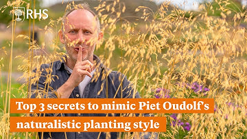Top 3 secrets to mimic Piet Oudolf