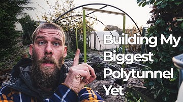 Building My Biggest Polytunnel Yet