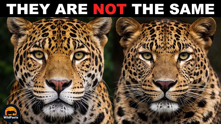 10 Deadly Predators You’re Mistaking for Each Other