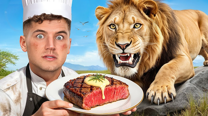 I Cooked For A Lion