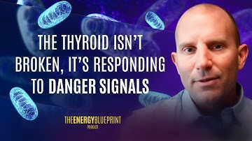 Why More Thyroid Hormone Isn