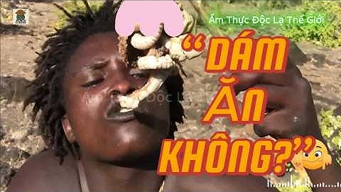 TẬP 2 – Bạn có sống nổi 1 ngày như bộ tộc này không? | Reaction bộ tộc Hadzabe