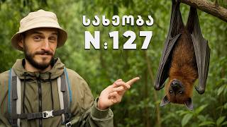 ვეძებ 200 განსხვავებულ არსებას შრი ლანკაში