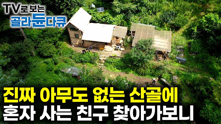 산 전체 유일한 주민. 진짜 아무도 없는 산골에 자연인이 된 친구 찾아가보니｜혼자가 아니라 누군가 함께해서 의미 있는 인생｜한국기행 모음｜#골라듄다큐