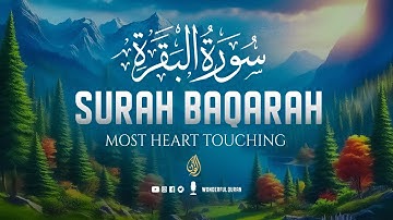 Surah Al-Baqarah سورة البقره Full | Heavenly Voice Will Deeply Touch Your Heart إن شاء الله | WQ