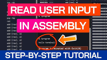How to Read from the Terminal | Assembly Beginner Tutorial | x86-64 Programming | Assembly Course